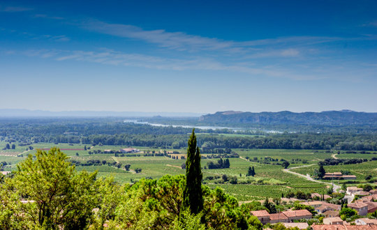 Corton Grand Cru