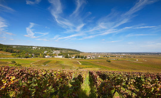 Chambolle-Musigny Premier Cru