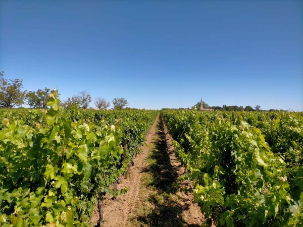Haut-Médoc