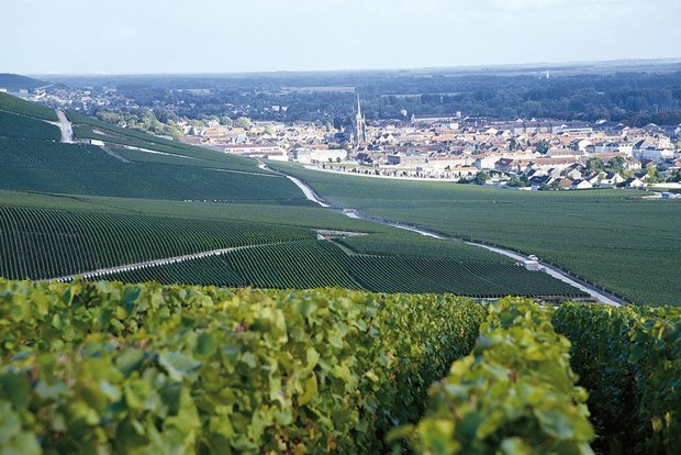 Champagne Grand Cru