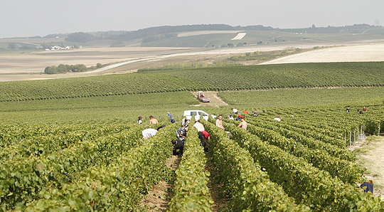 Châteauneuf-du-Pape