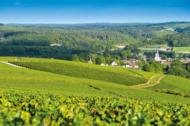 Chambolle-Musigny Premier Cru