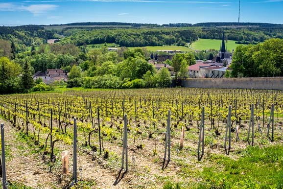Vosne-Romanée