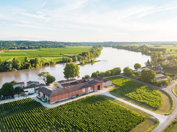 Saint-Émilion Grand Cru — Domaine Bardet