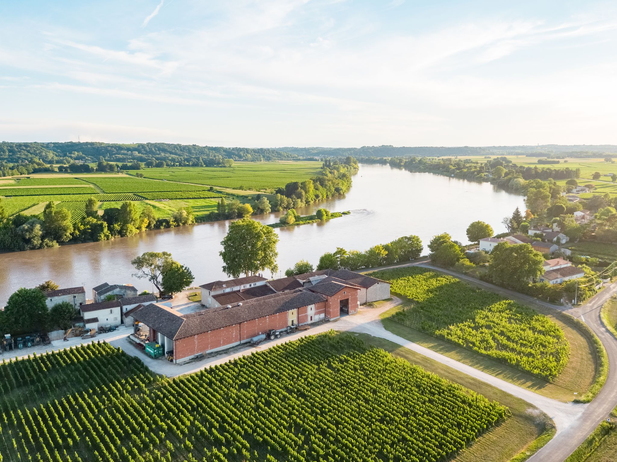 Saint-Émilion Grand Cru — Domaine Bardet
